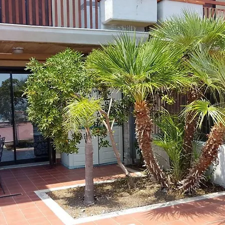 Elisa's House
